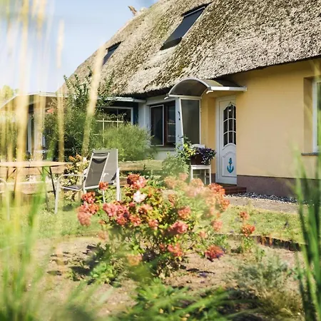 Apartment Urlaub Unterm Reetdach